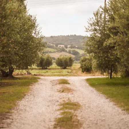 Poggio Alle Calle