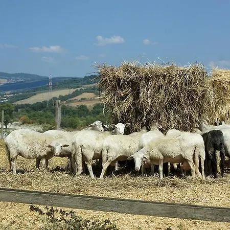 Casa di campagna Poggio Alle Calle *