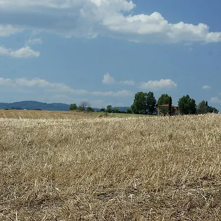 Poggio Alle Calle Casa di campagna